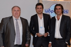 Κωνσταντίνος & Δημήτριος Δημητρόπουλος, Καλύτερος Δείκτης Ζημίας, Ν. Μεσσηνίας