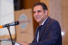 Παύλος Κασκαρέλης, Αντιπρόεδρος και Διευθύνων Σύμβουλος