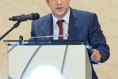 Παύλος Κασκαρέλης, Αντιπρόεδρος & Διευθ. Σύμβουλος