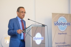 Κωνσταντίνος Λαπιδάκης, Διευθυντής Ανάληψης Κινδύνων